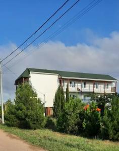 Лавандина - 8