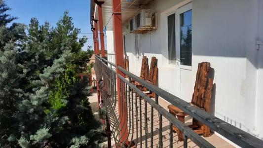 Лавандина - 14