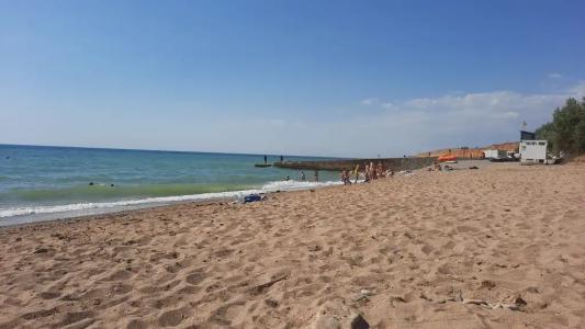 Лавандина - 16