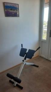 Лавандина - 21