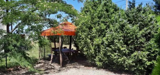 Лавандина - 23