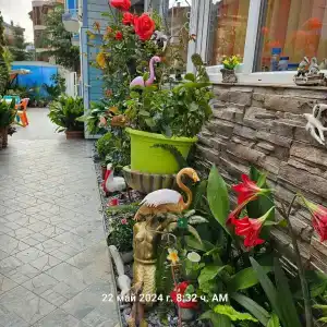 Sianie Guest House - 5