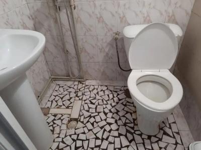 Кипарис - 0