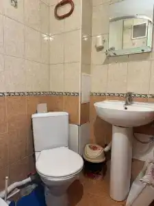 Кипарис - 4