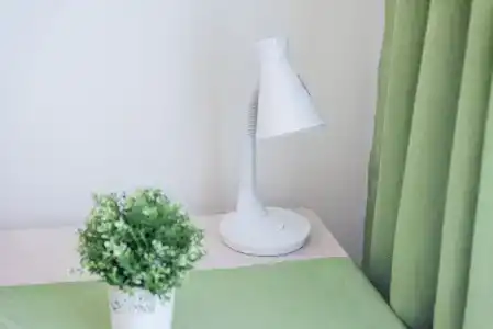 Апарт-отель В гостях у Льва - 5