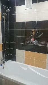 Квартиры на Рыленкова 54 - 11