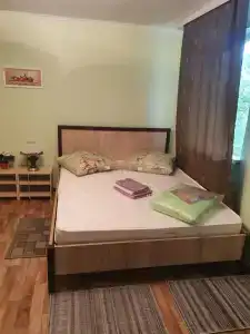 Петросиан - 0