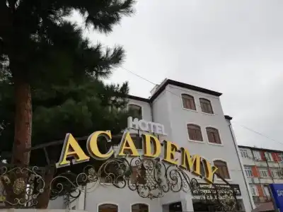 Академия - 1