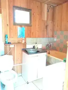 Фламинго - 5
