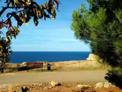 Фламинго - 6