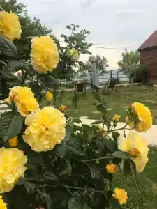 Райский уголок - 24