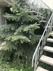 Райский уголок - 20