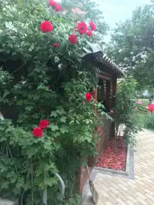 Райский уголок - 18