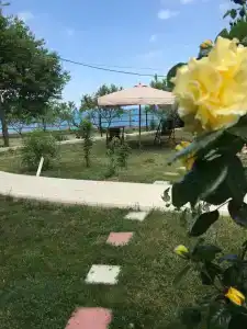 Райский уголок - 11
