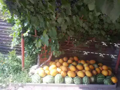Уютный - 29