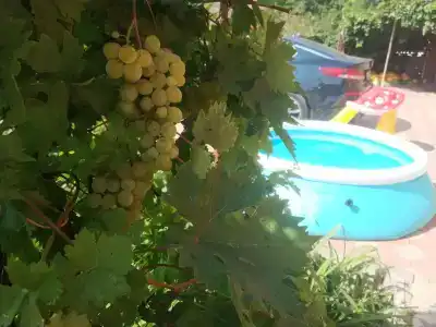 Уютный - 20