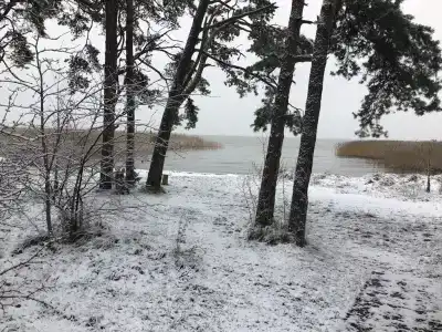 Коттедж в сосновом лесу ВитТех - 43