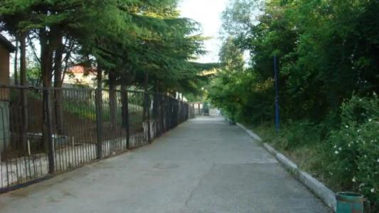 DonBas - 79