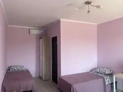 ВисСон - 1
