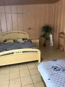 Фламинго - 6