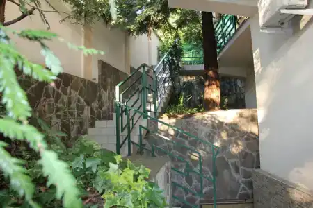 Аледо - 1