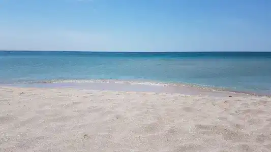 Светлана - 4