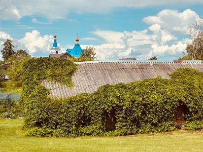 Усадьба 4 сезона - 25