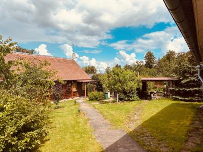 Усадьба 4 сезона - 26