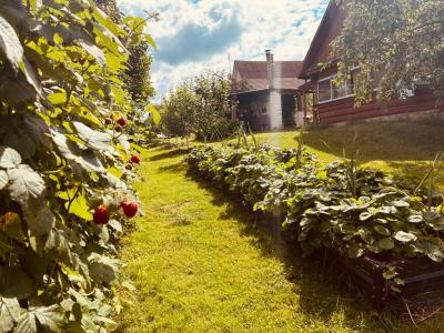 Усадьба 4 сезона - 45