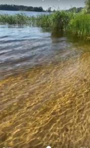 Усадьба 4 сезона - 54