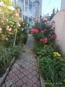 Астромарине - 2