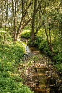 Агроусадьба Беловежская Гостевая - 60