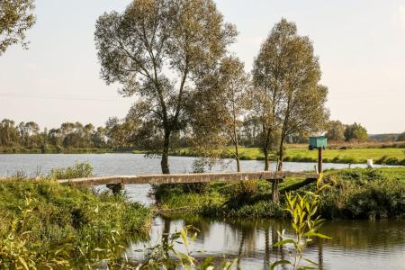 Агроусадьба Беловежская Гостевая - 83