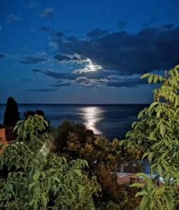 на Дражинке - 7