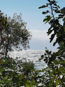 на Дражинке - 12