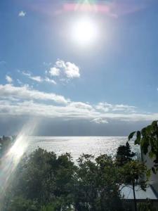 на Дражинке - 13