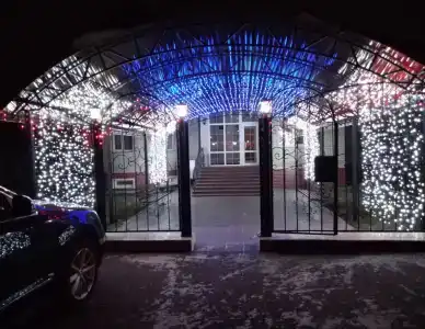 Виноград - 1