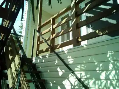 Пальма - 1