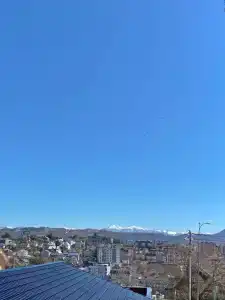 Альпийская - 7