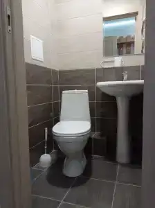 Снегири - 3