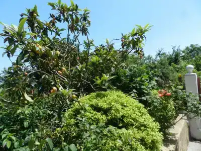 Усадьба Прованс - 5