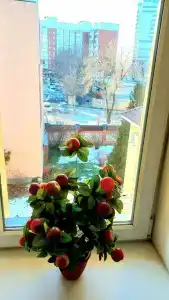 Домик в Самаре - 11