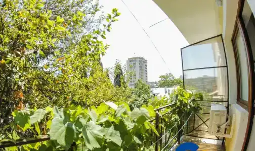 Звездный - 0