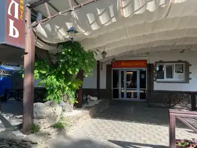Максимус - 9