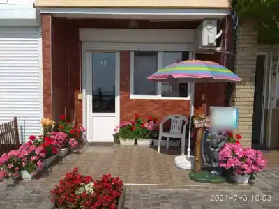 Алустон - 0