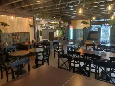 Чайка - 13