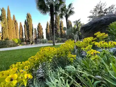 Крымский - 5