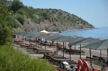 Пансионат Орхидея - 146