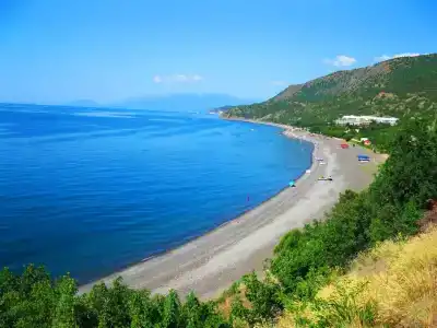 Пансионат Орхидея - 187