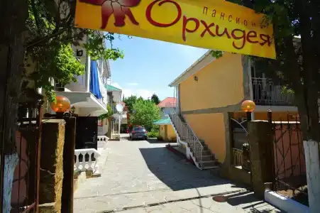 Пансионат Орхидея - 159